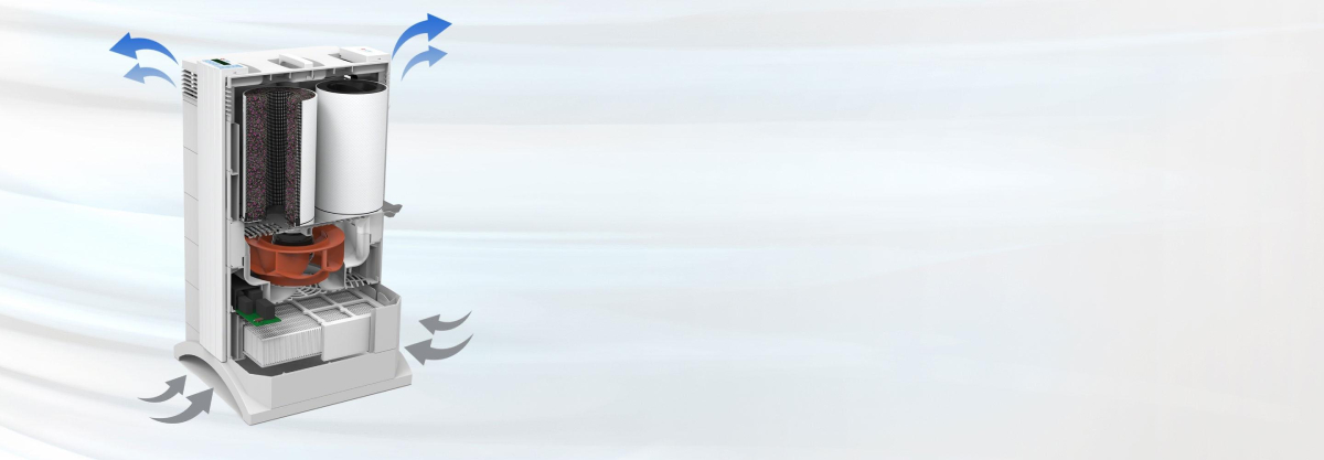 Dentist in Great Neck